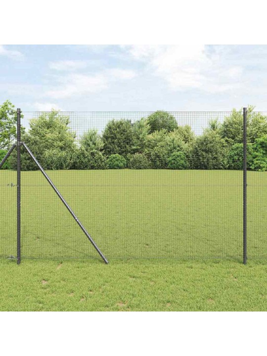 Žogs ar stabiem. pelēka 1.4 x 50 m tērauds