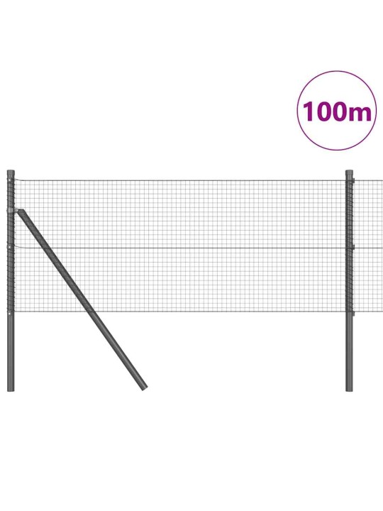 Žogs ar stabiem. pelēka 0.4 x 100 m tērauds