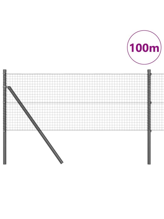 Žogs ar stabiem. pelēka 0.4 x 100 m tērauds