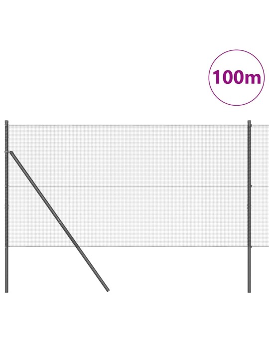 Žogs ar stabiem. pelēka 1 x 100 m tērauds