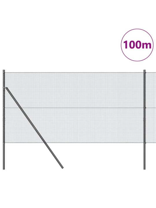 Žogs ar stabiem. pelēka 1 x 100 m tērauds