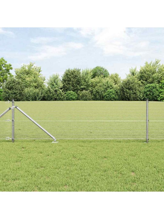 Žogs ar stabiem. sudraba 0.8 x 25 m tērauds