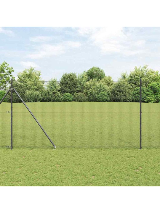 Žogs ar stabiem. pelēka 1.5 x 25 m tērauds