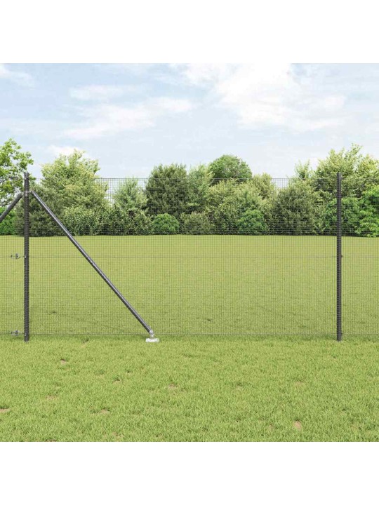 Žogs ar stabiem. pelēka 1 x 100 m tērauds
