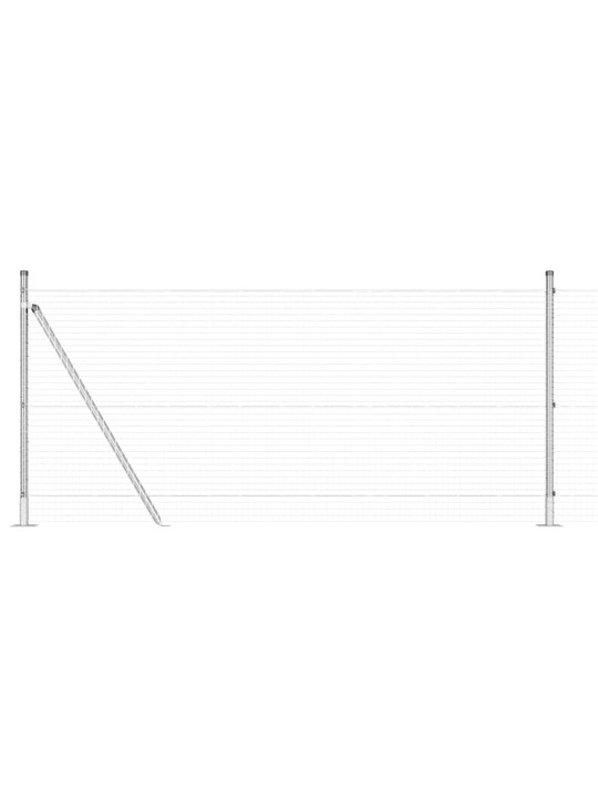 Žogs ar stabiem. sudraba 0.8 x 50 m tērauds
