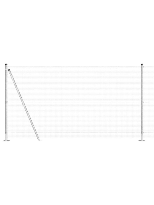 Žogs ar stabiem. sudraba 1.2 x 50 m tērauds