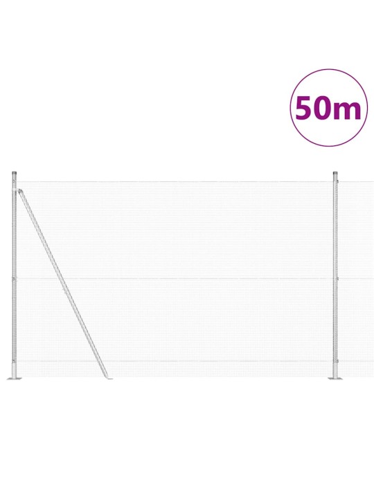 Žogs ar stabiem. sudraba 1.5 x 50 m tērauds