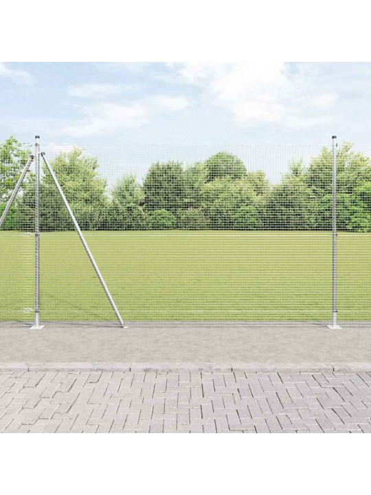 Žogs ar stabiem. sudraba 1.5 x 50 m tērauds