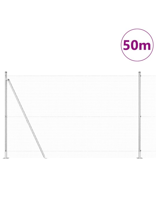 Žogs ar stabiem. sudraba 1.5 x 50 m tērauds