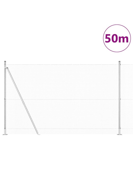 Žogs ar stabiem. sudraba 1.6 x 50 m tērauds