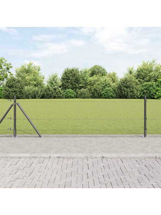 Žogs ar stabiem. pelēka 0.4 x 10 m tērauds