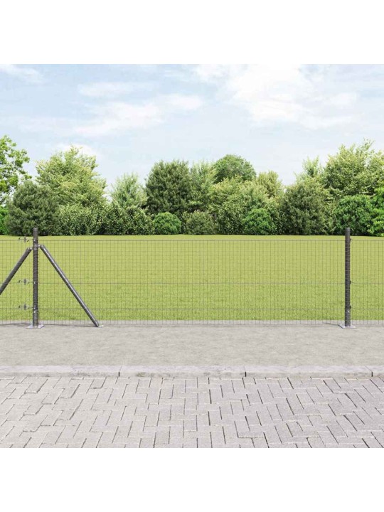 Žogs ar stabiem. pelēka 0.4 x 10 m tērauds
