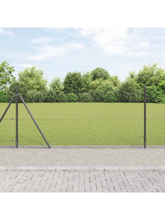 Žogs ar stabiem. pelēka 0.8 x 10 m tērauds