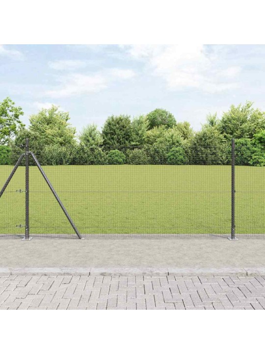 Žogs ar stabiem. pelēka 0.8 x 10 m tērauds