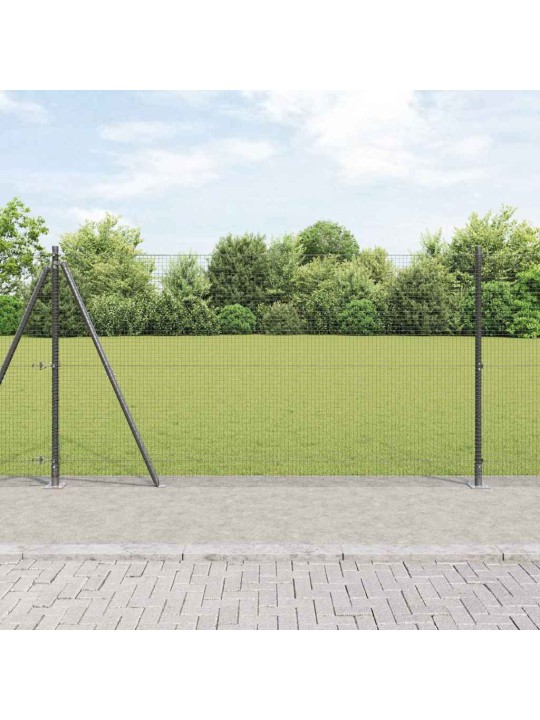Žogs ar stabiem. pelēka 1.2 x 10 m tērauds