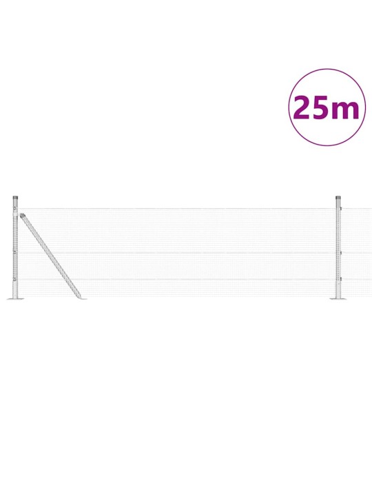 Žogs ar stabiem. pelēka 0.4 x 25 m tērauds