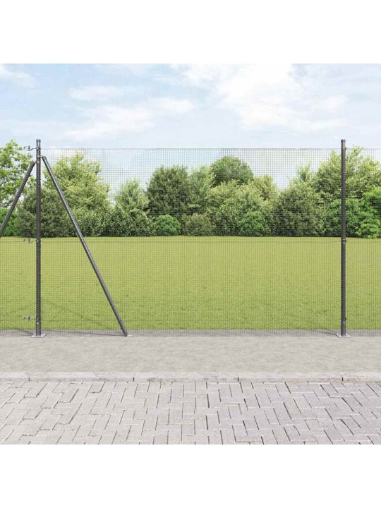 Žogs ar stabiem. pelēka 1.6 x 25 m tērauds