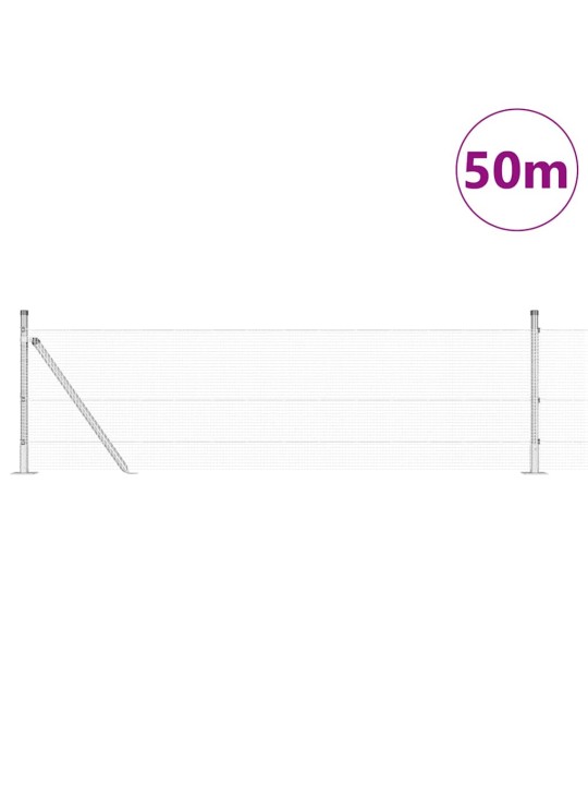 Žogs ar stabiem. pelēka 0.4 x 50 m tērauds