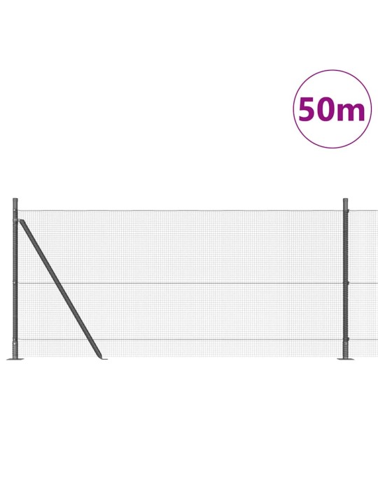 Žogs ar stabiem. pelēka 0.8 x 50 m tērauds