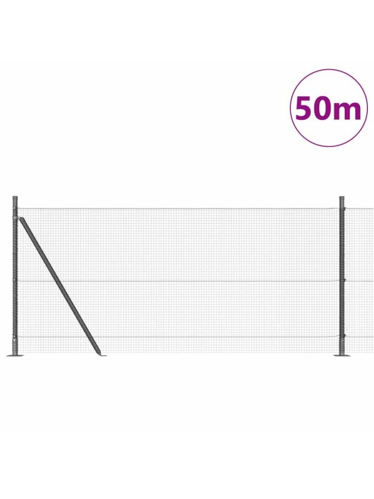 Žogs ar stabiem. pelēka 0.8 x 50 m tērauds