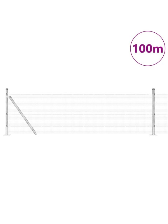 Žogs ar stabiem. pelēka 0.4 x 100 m tērauds