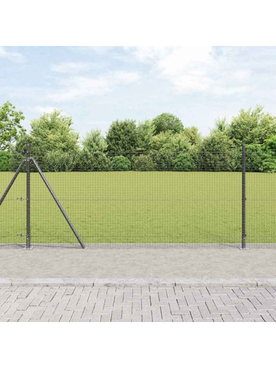 Žogs ar stabiem. pelēka 0.8 x 100 m tērauds