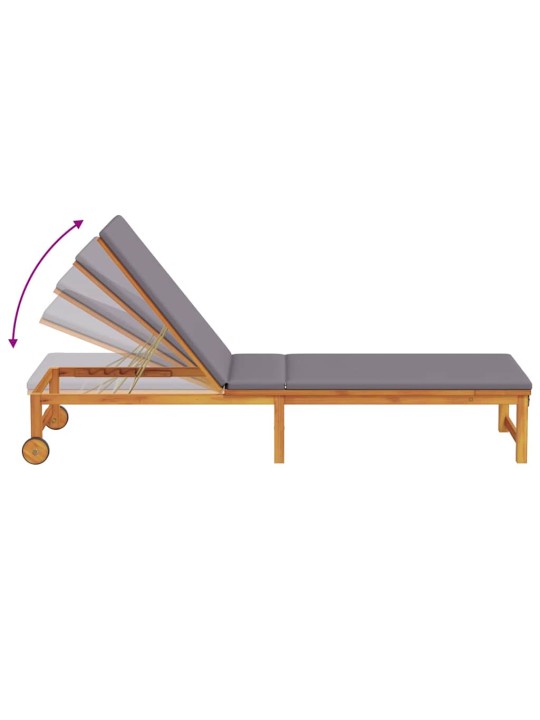 Sauļošanās krēsls ar spilvenu 2 pcs brūna 53 x 202 x 89cm