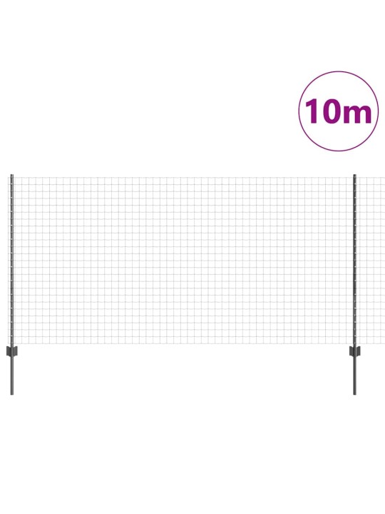 Žogs ar stabiem. pelēka 1.2 x 10 m tērauds