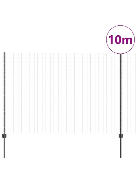 Žogs ar stabiem. pelēka 1.6 x 10 m tērauds