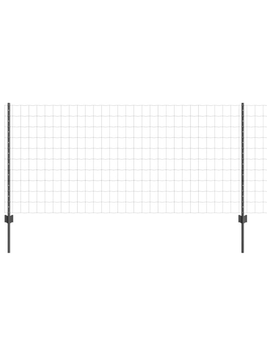 Žogs ar stabiem. pelēka 1 x 10 m tērauds