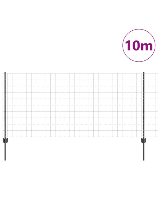 Žogs ar stabiem. pelēka 1 x 10 m tērauds