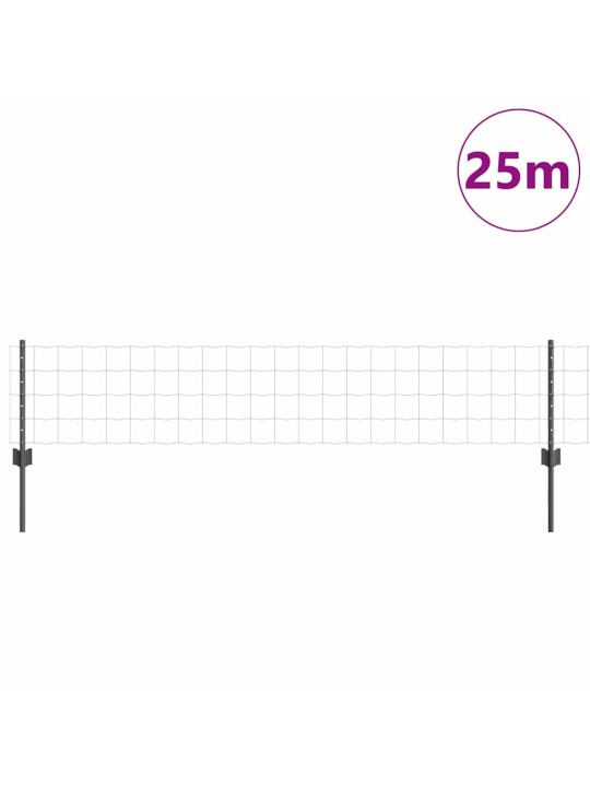 Žogs ar stabiem. pelēka 0.4 x 25 m tērauds