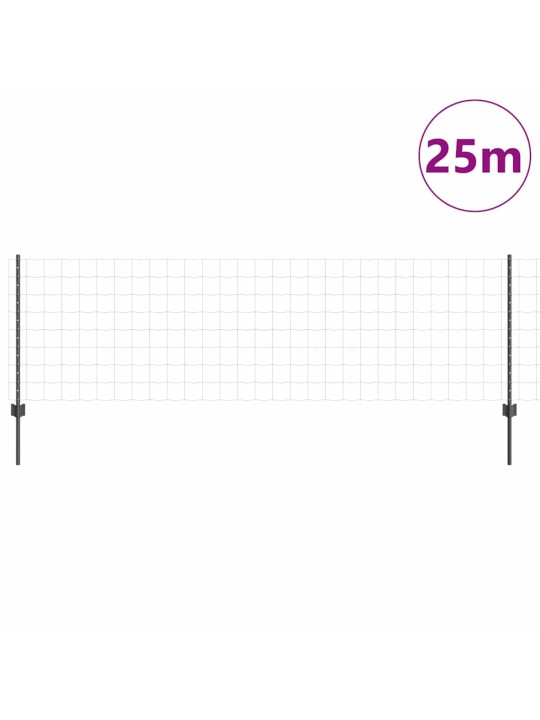 Žogs ar stabiem. pelēka 0.8 x 25 m tērauds