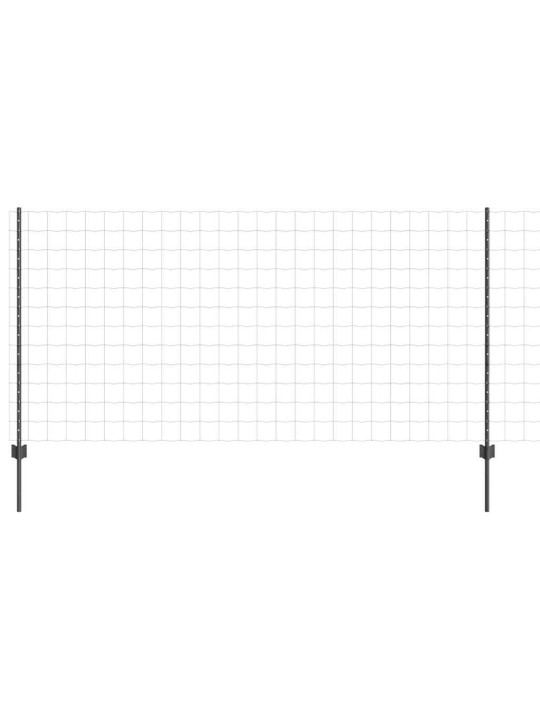 Žogs ar stabiem. pelēka 1.2 x 25 m tērauds
