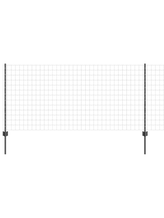 Žogs ar stabiem. pelēka 1 x 25 m tērauds