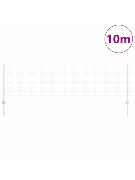 Žogs ar stabiem. sudraba 0.8 x 10 m tērauds