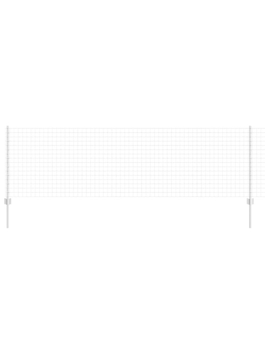 Žogs ar stabiem. sudraba 0.8 x 25 m tērauds