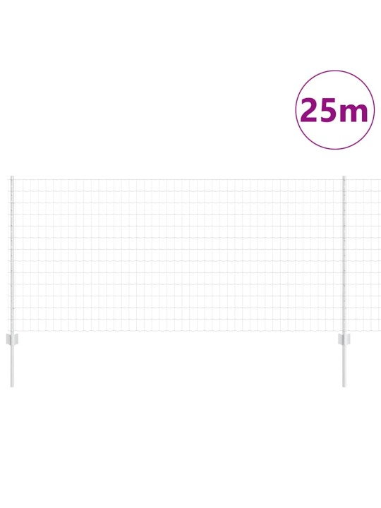 Žogs ar stabiem. sudraba 1 x 25 m tērauds