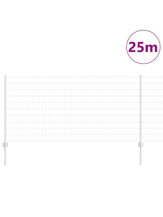 Žogs ar stabiem. sudraba 1 x 25 m tērauds