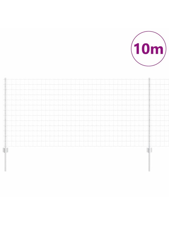 Žogs ar stabiem. sudraba 1 x 10 m tērauds