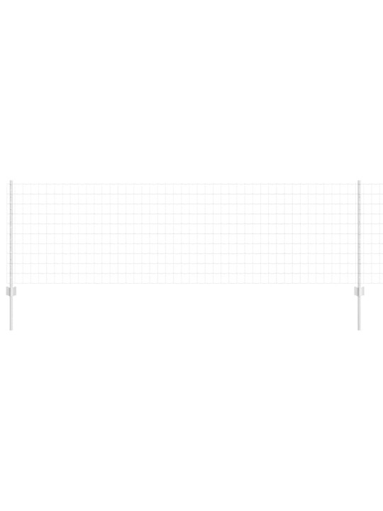 Žogs ar stabiem. sudraba 0.8 x 25 m tērauds