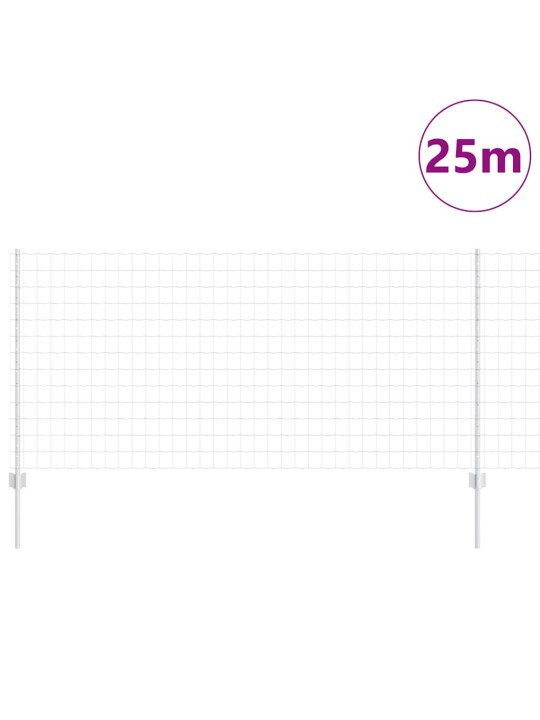 Žogs ar stabiem. sudraba 1 x 25 m tērauds
