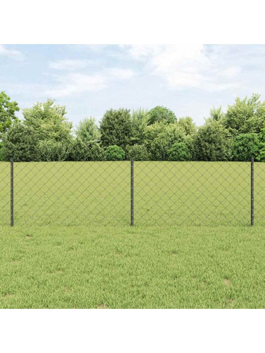 Žogs ar stabiem. pelēka 0.6 x 10 m tērauds
