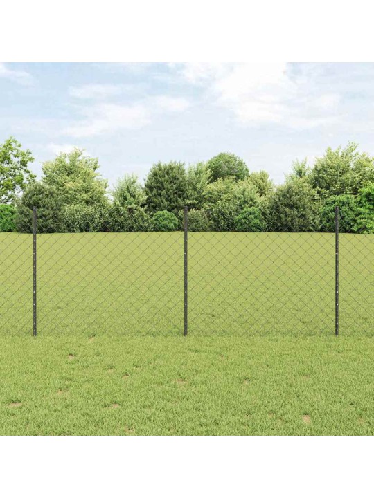 Žogs ar stabiem. pelēka 1 x 10 m tērauds