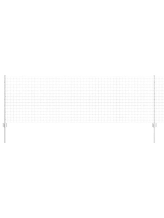 Žogs ar stabiem. sudraba 0.8 x 10 m tērauds