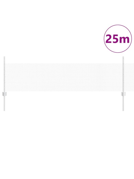 Žogs ar stabiem. sudraba 0.5 x 25 m tērauds