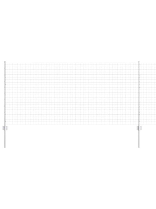 Žogs ar stabiem. sudraba 1 x 25 m tērauds