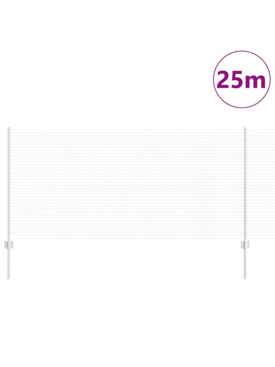 Žogs ar stabiem. sudraba 1 x 25 m tērauds