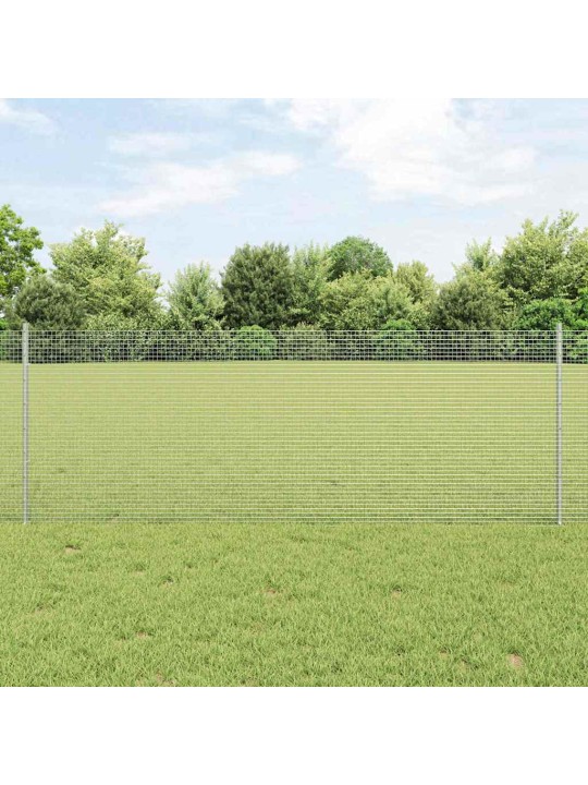 Žogs ar stabiem. sudraba 0.8 x 50 m tērauds