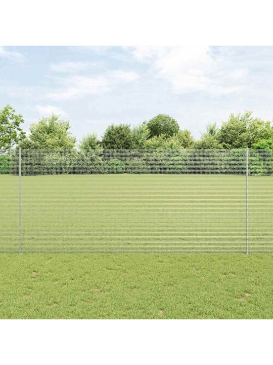 Žogs ar stabiem. sudraba 1.4 x 50 m tērauds
